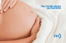 Placenta - Blog IVI