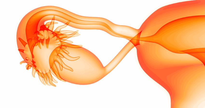 Ciclo menstrual irregular: é possível engravidar? - Art Fértil