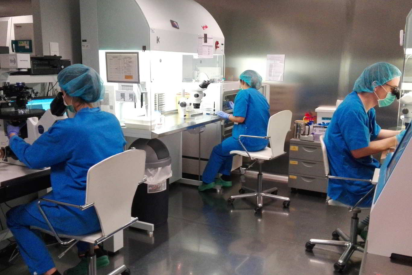 Portugal aprova pesquisa IVI sobre implantação embrionária