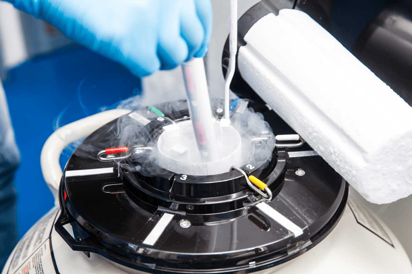 Embriões: a segurança do congelamento
