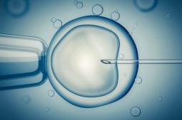 FIV ou Inseminação Artificial?