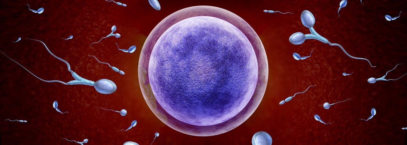 Teratozoospermia