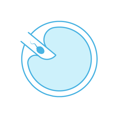 Inseminação 
