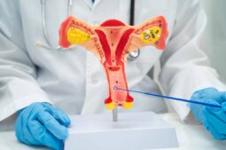Exame Papanicolau: o que é, como é feito e qual a sua importância