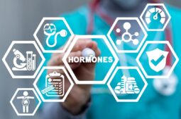 Curva de hormônios no ciclo menstrual: como ela influencia a fertilidade feminina
